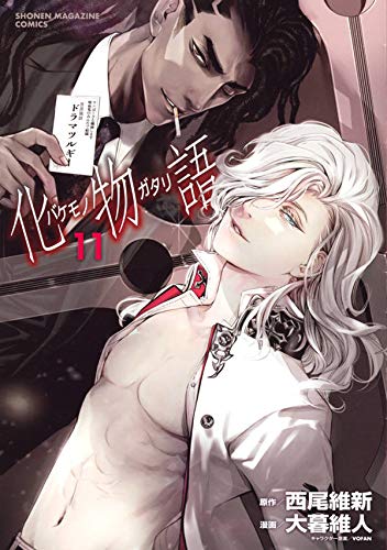 化物語 11 [Bakemonogatari 11] book cover