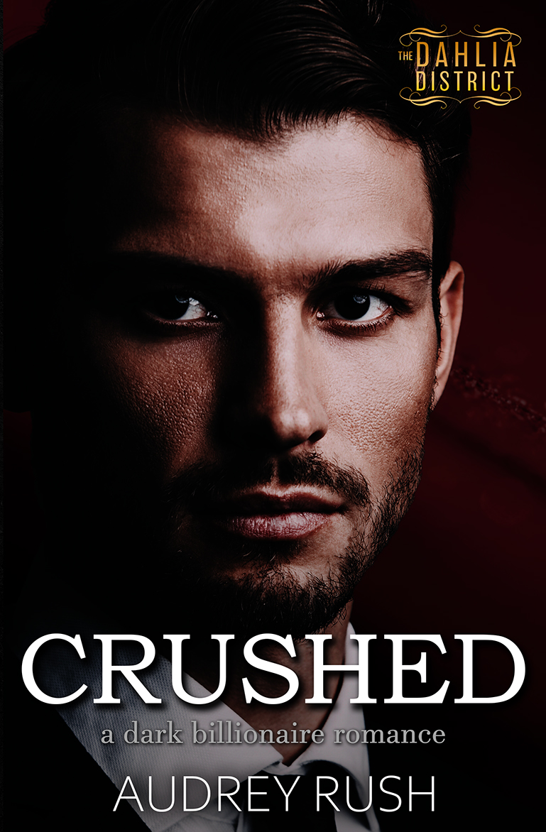 The Dahlia District book cover 3
