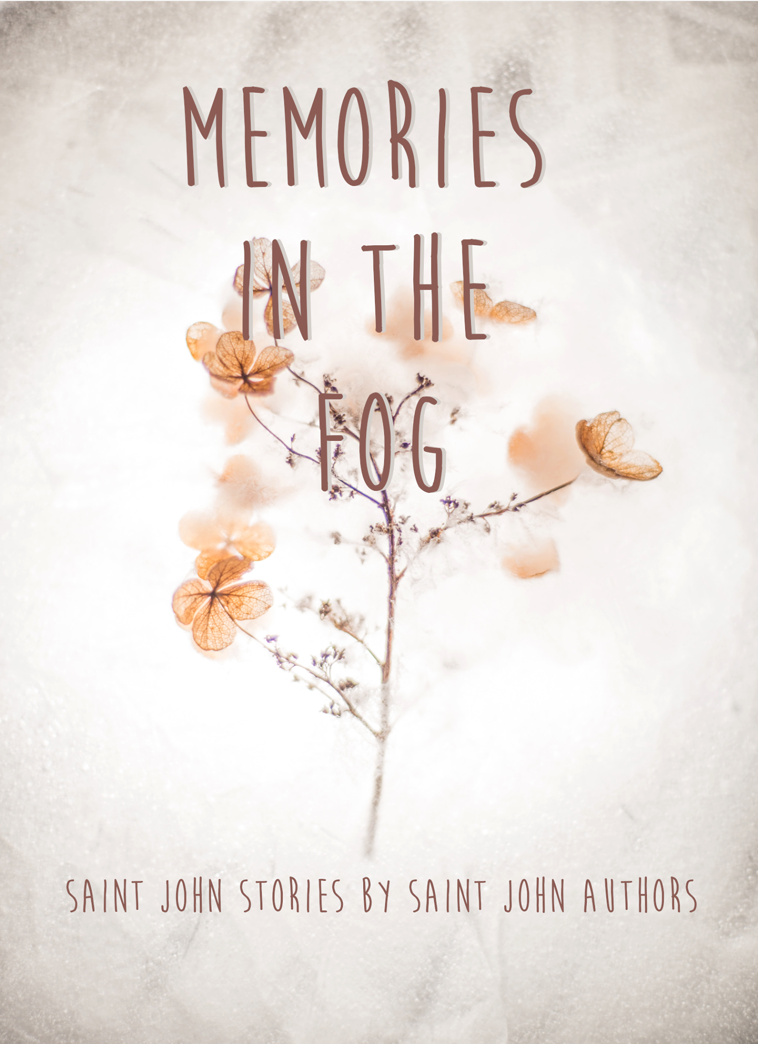 Memories in the Fog: Saint John Stories by Saint John Authors