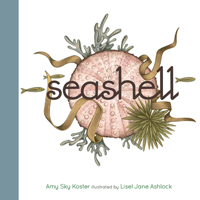 Seashell book cover