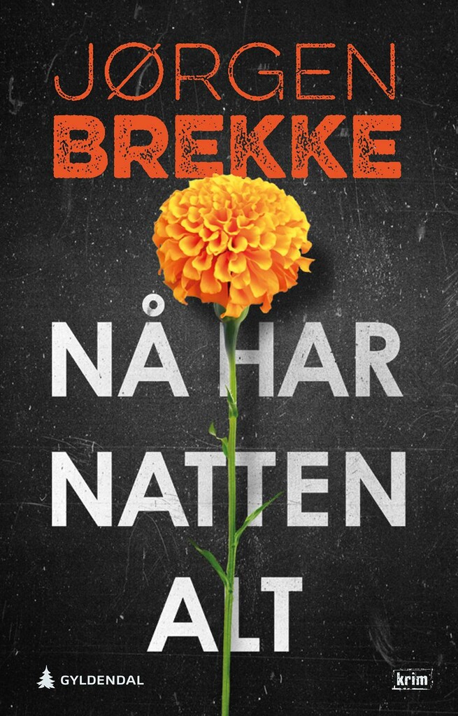 Nå har natten alt book cover
