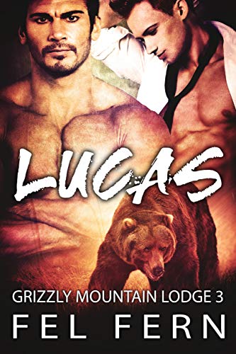 Grizzly Mountain Lodge book cover 3