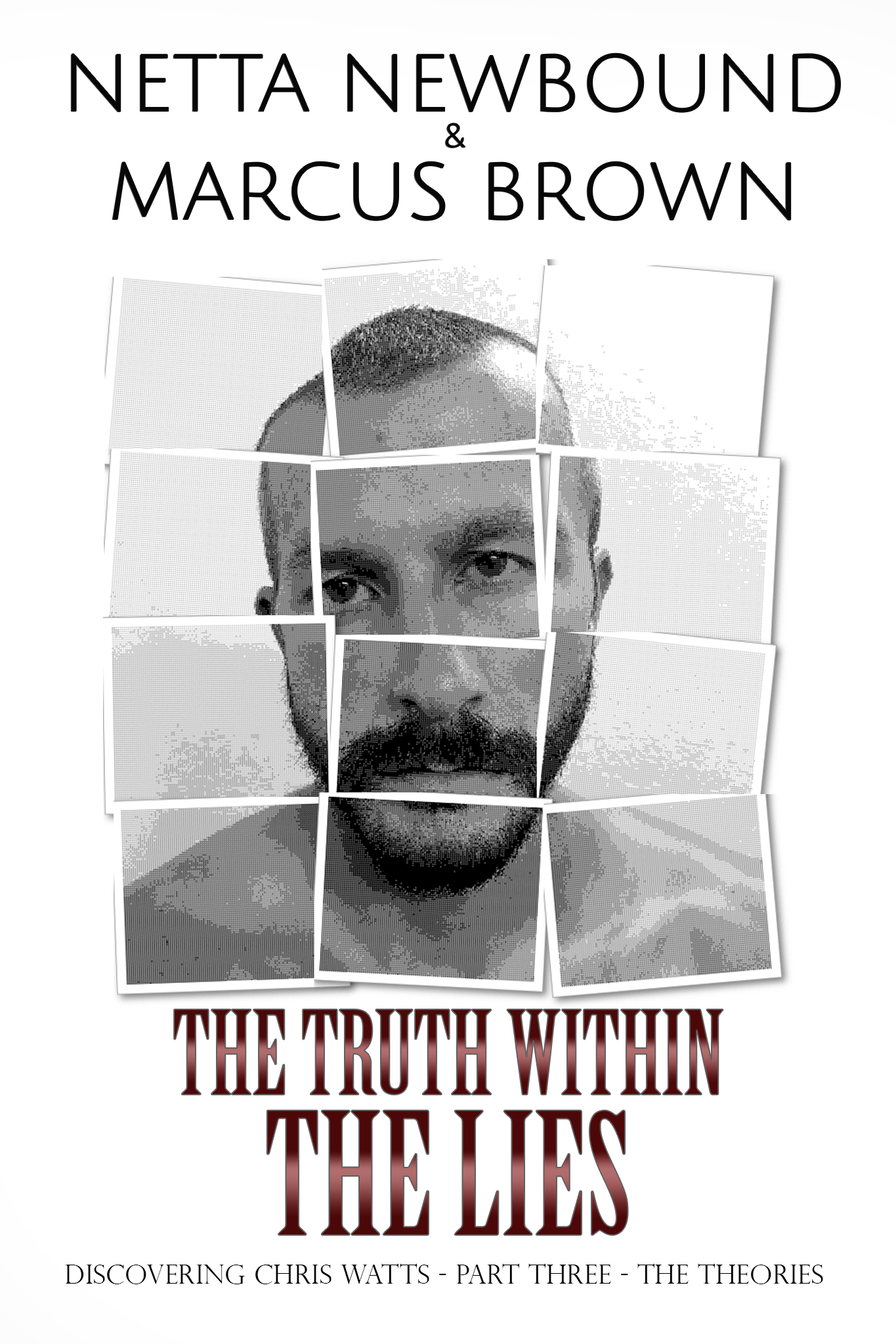 The Truth Within the Lies: Discovering Chris Watts: - Part Three - The Theories
