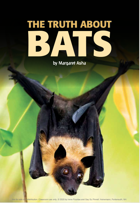 The Truth About Bats by Margaret Asha | Goodreads