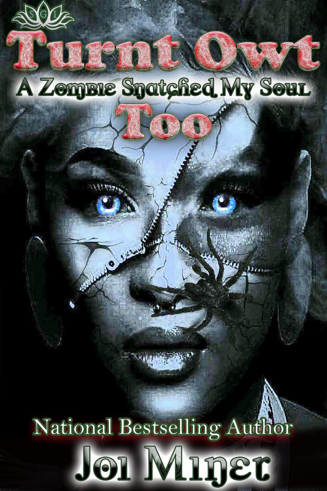 Turnt Owt Too book cover