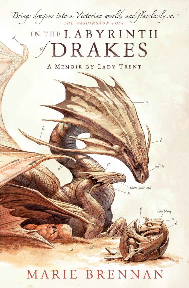 In the Labyrinth of Drakes (The Memoirs of Lady Trent, #4)