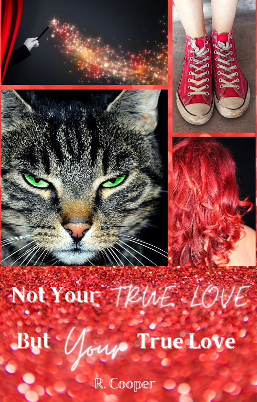 Not Your True Love But Your True Love book cover