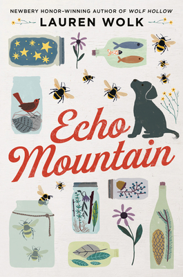 Echo Mountain (Thorndike Press Large Print Striving Reader Collection)