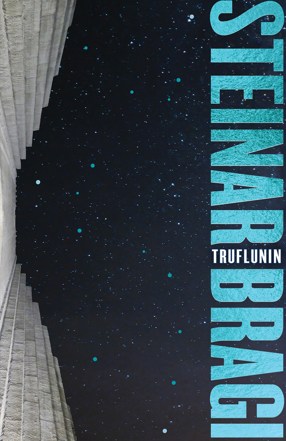 Truflunin book cover