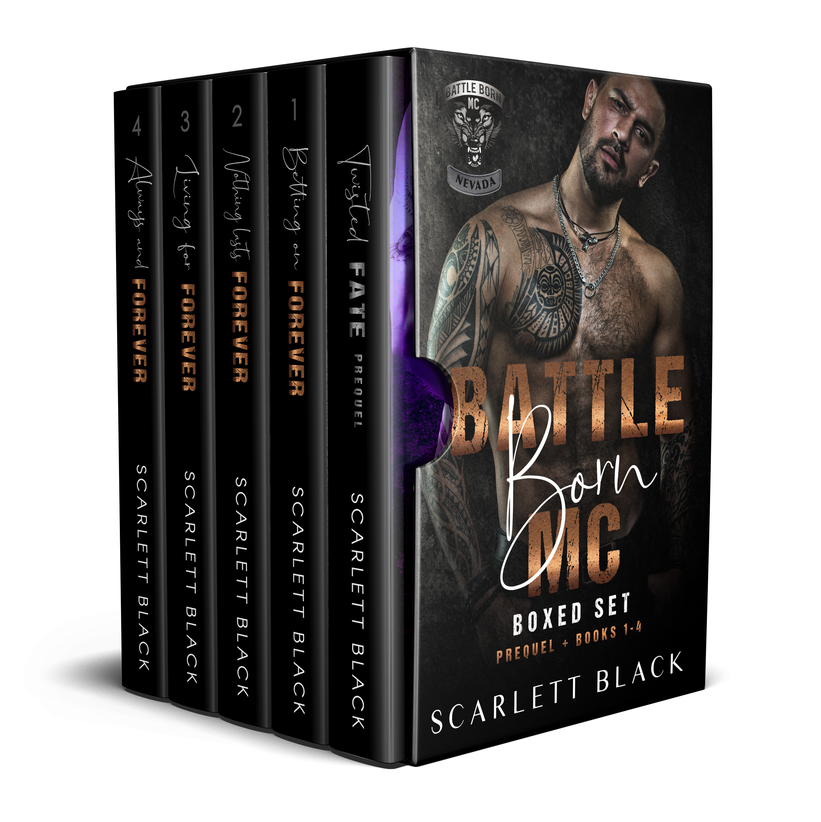 Battle Born MC Box Set book cover