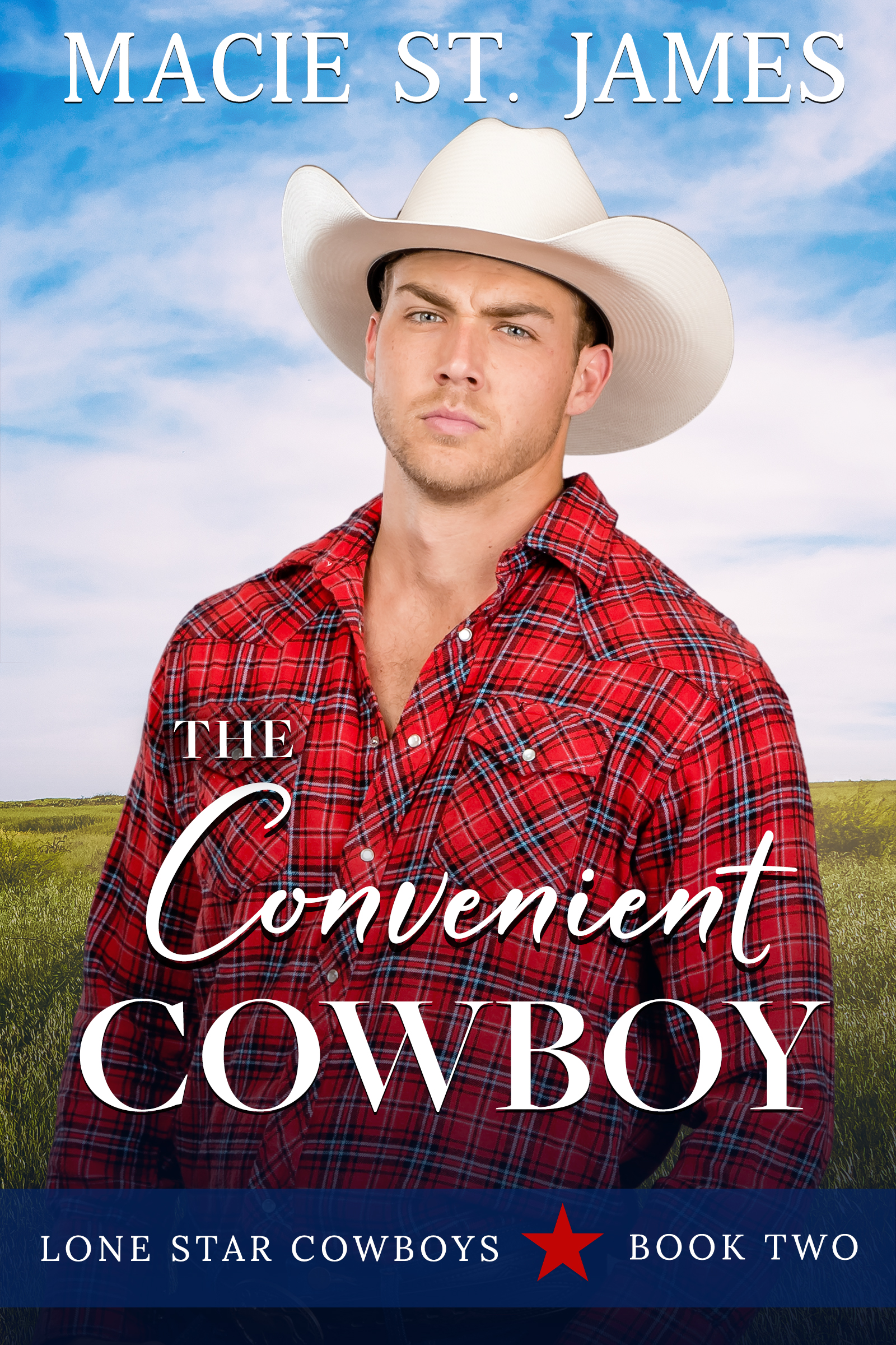 The Convenient Cowboy book cover