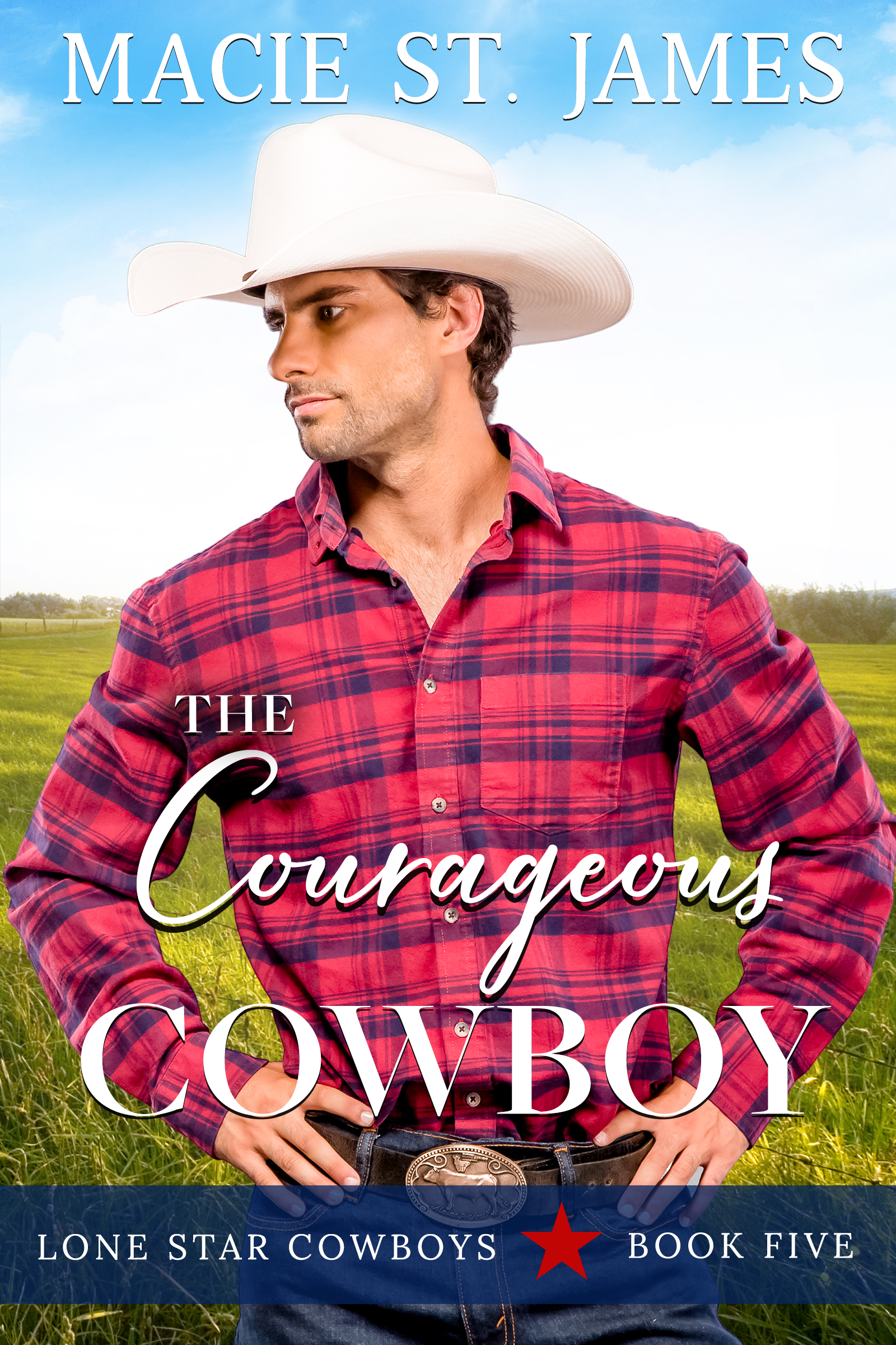 The Courageous Cowboy book cover