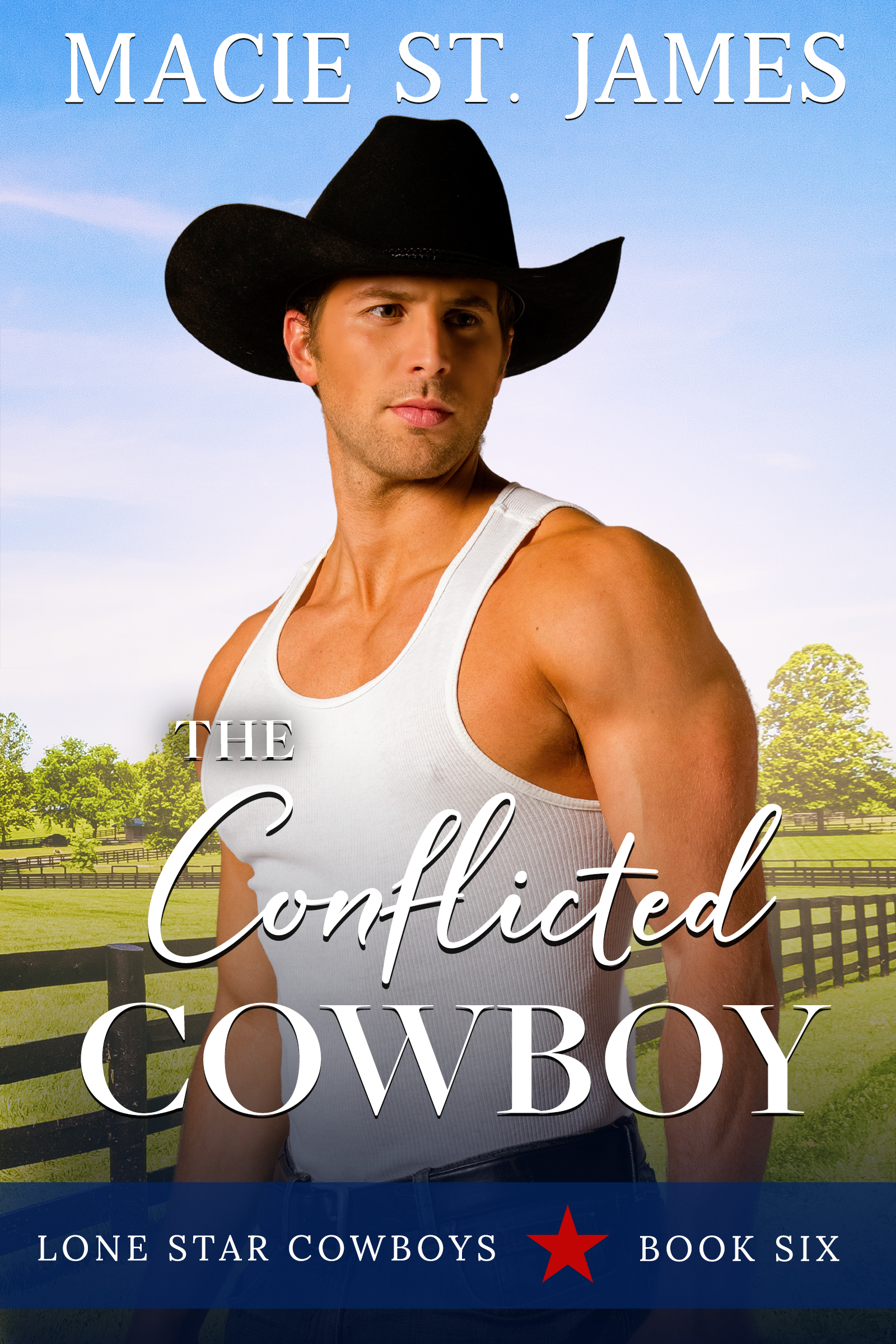 Lone Star Cowboys book cover 2
