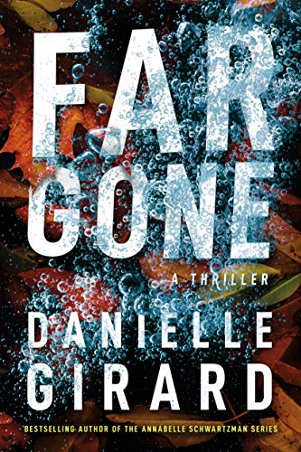 Badlands Thriller book cover 2
