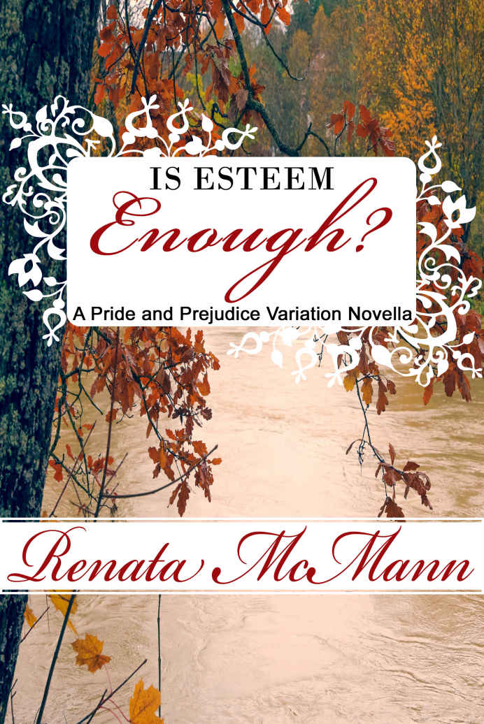 Is Esteem Enough? book cover