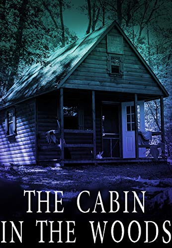 The Cabin in the Woods book cover