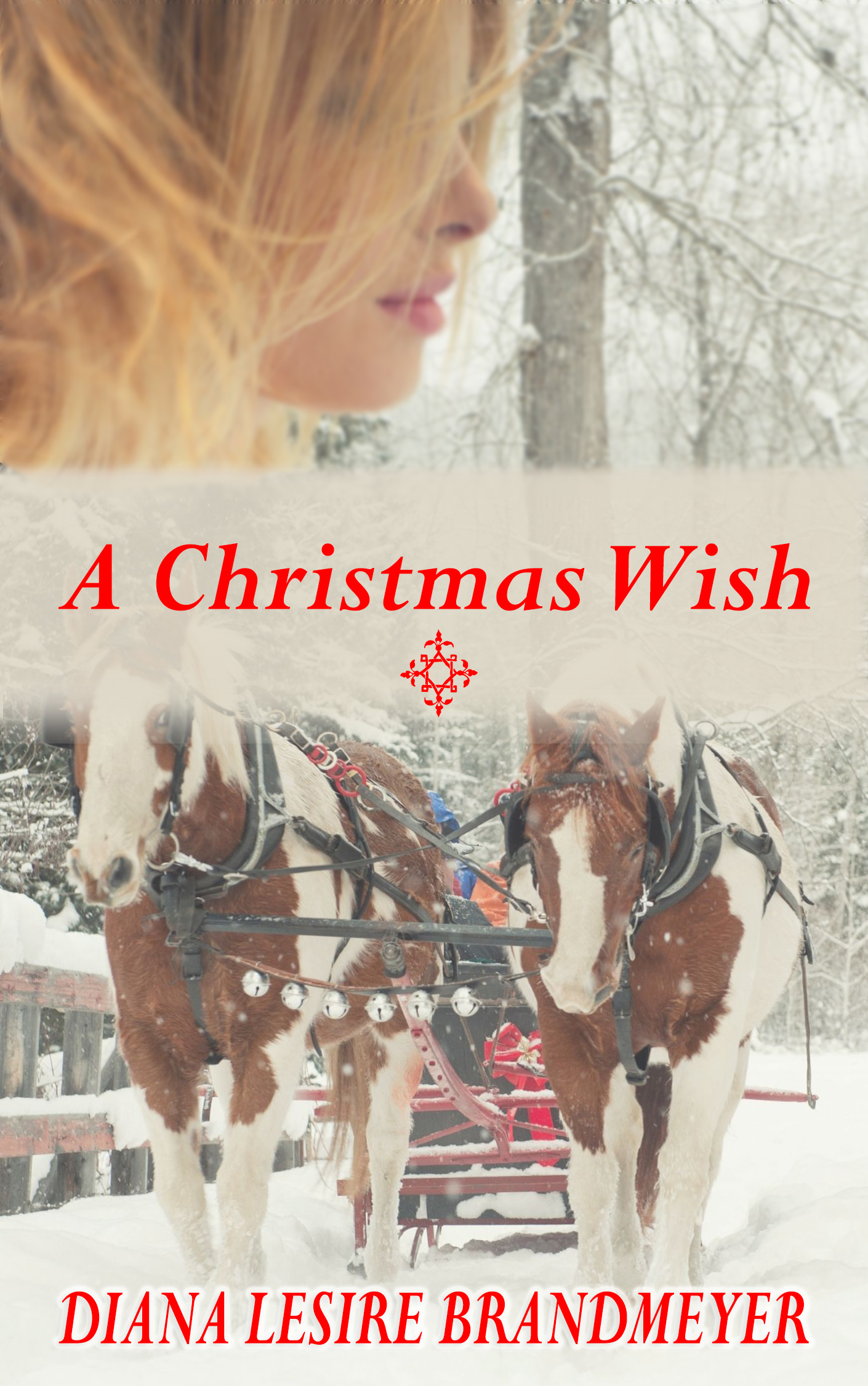 A Christmas Wish
