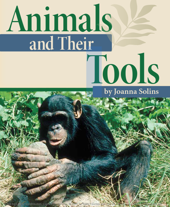Animals and Their Tools by Joanna Solins | Goodreads