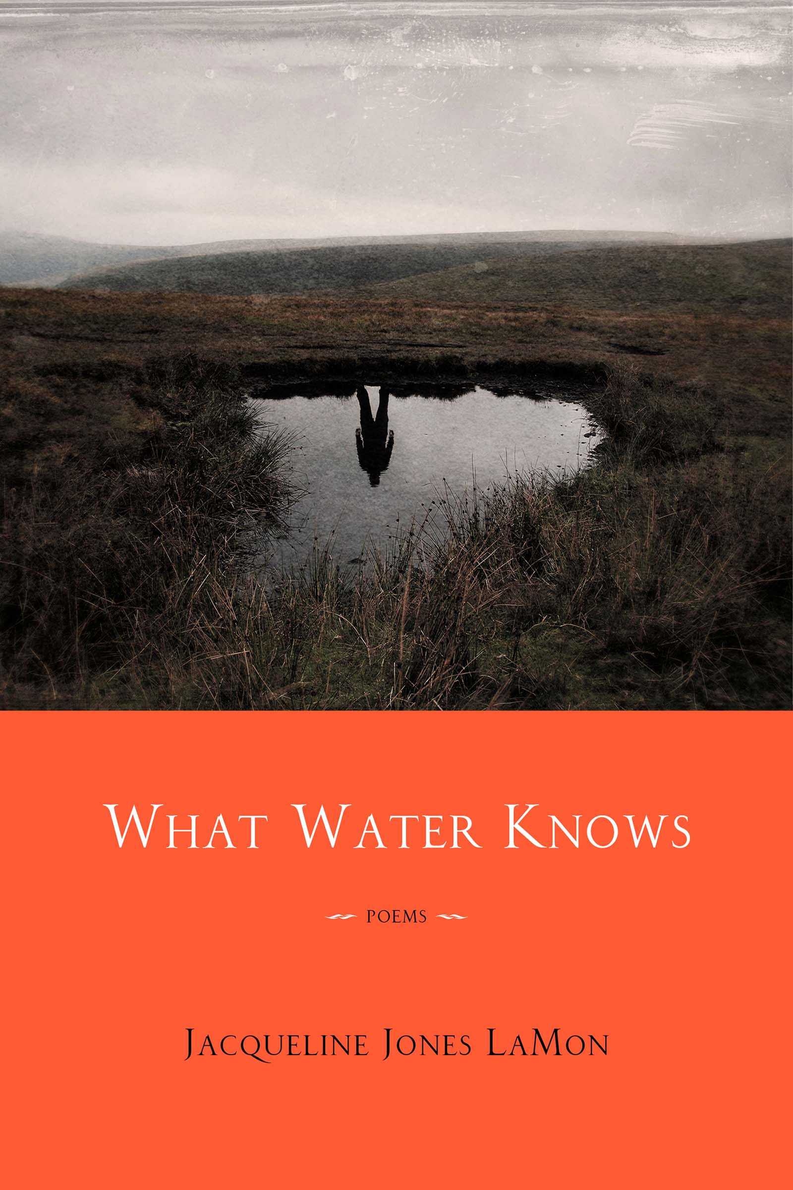 What Water Knows: Poems by Jacqueline Jones LaMon | Goodreads