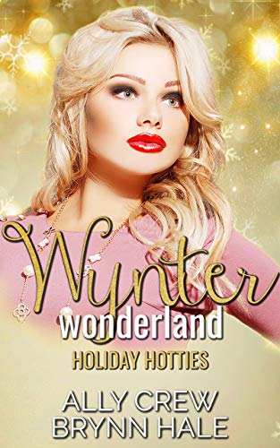 Holiday Hotties book cover 1