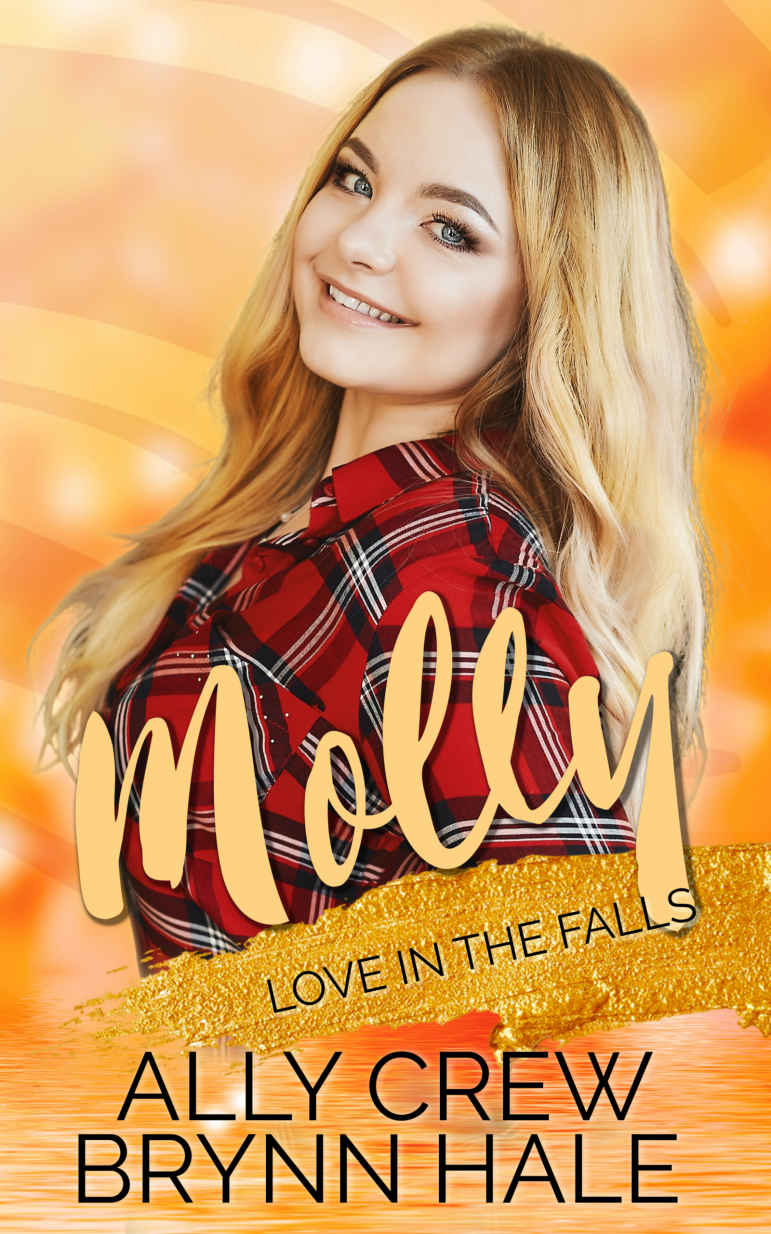Love in the Falls book cover 2