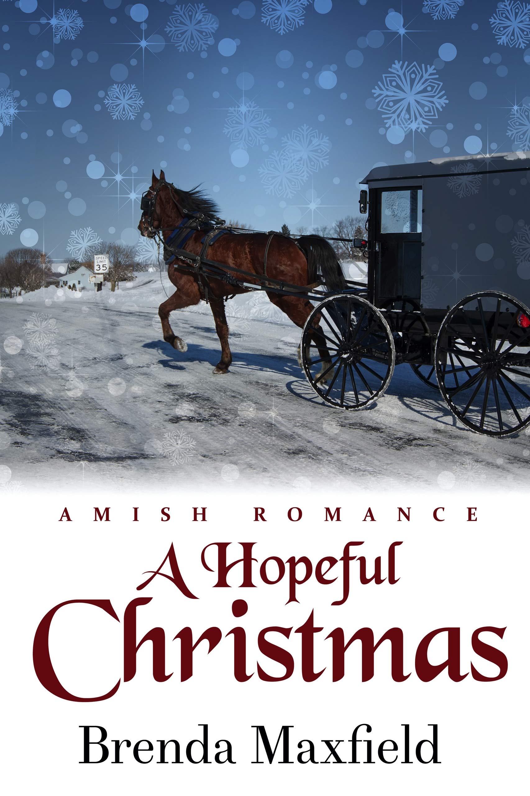 A Hopeful Christmas