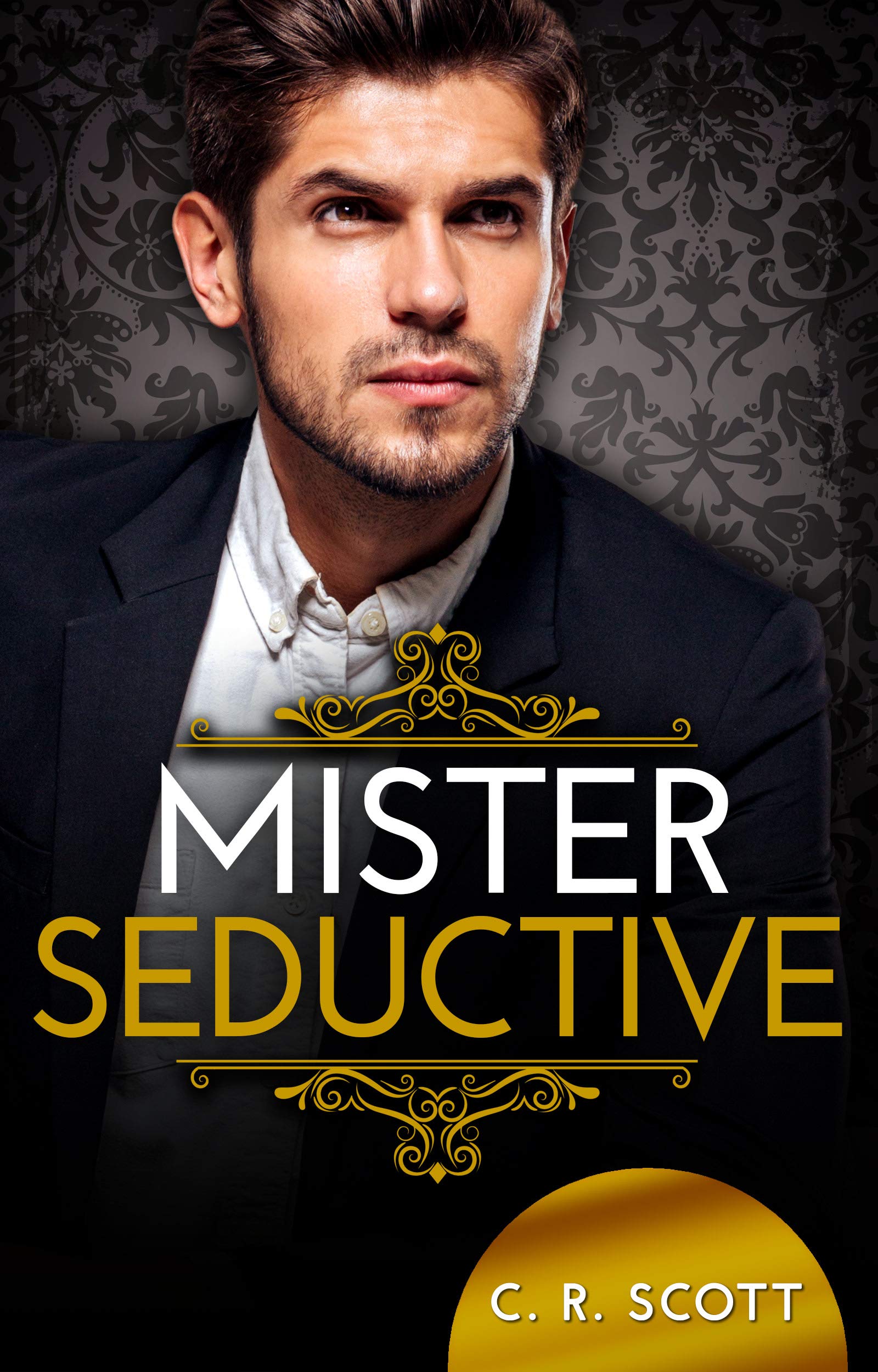 The Misters book cover 3