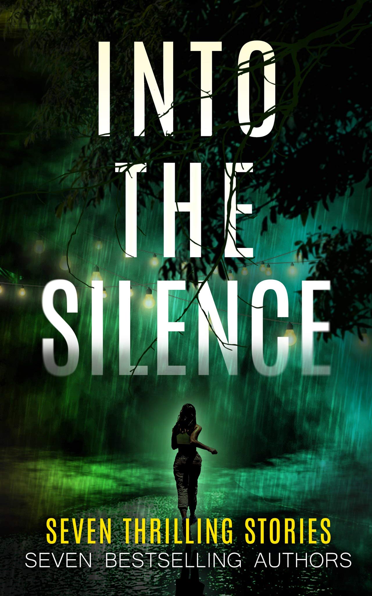 Into The Silence book cover