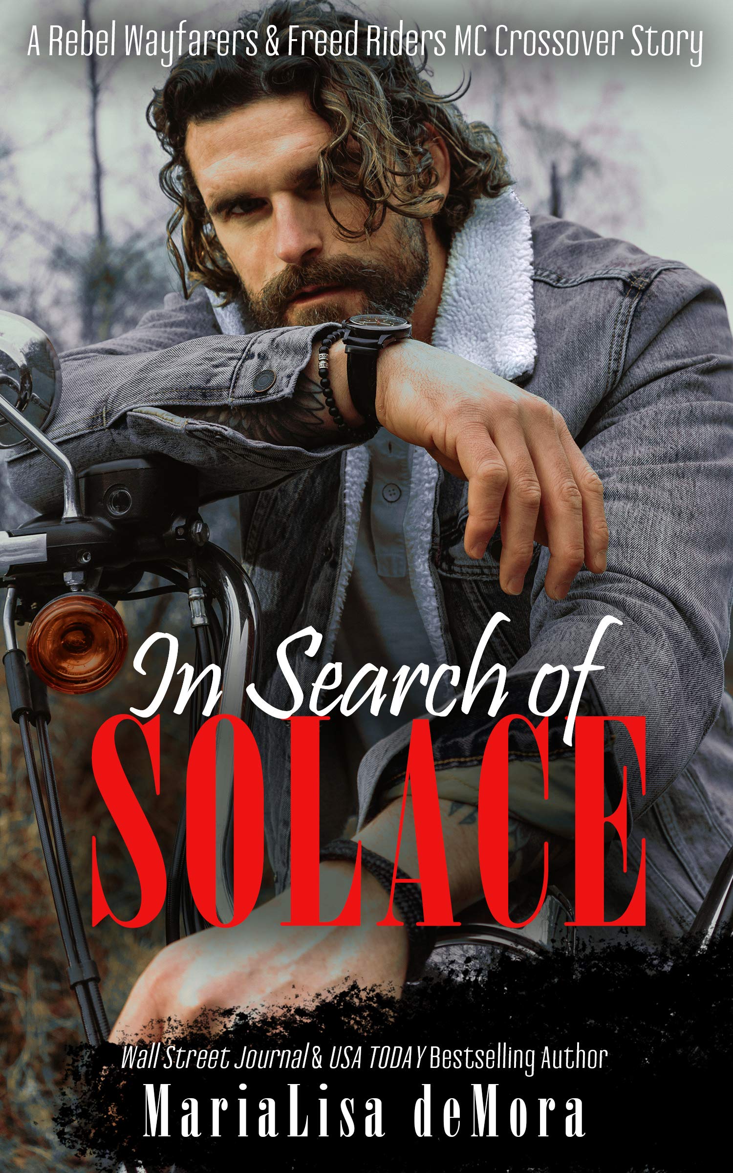In Search of Solace book cover