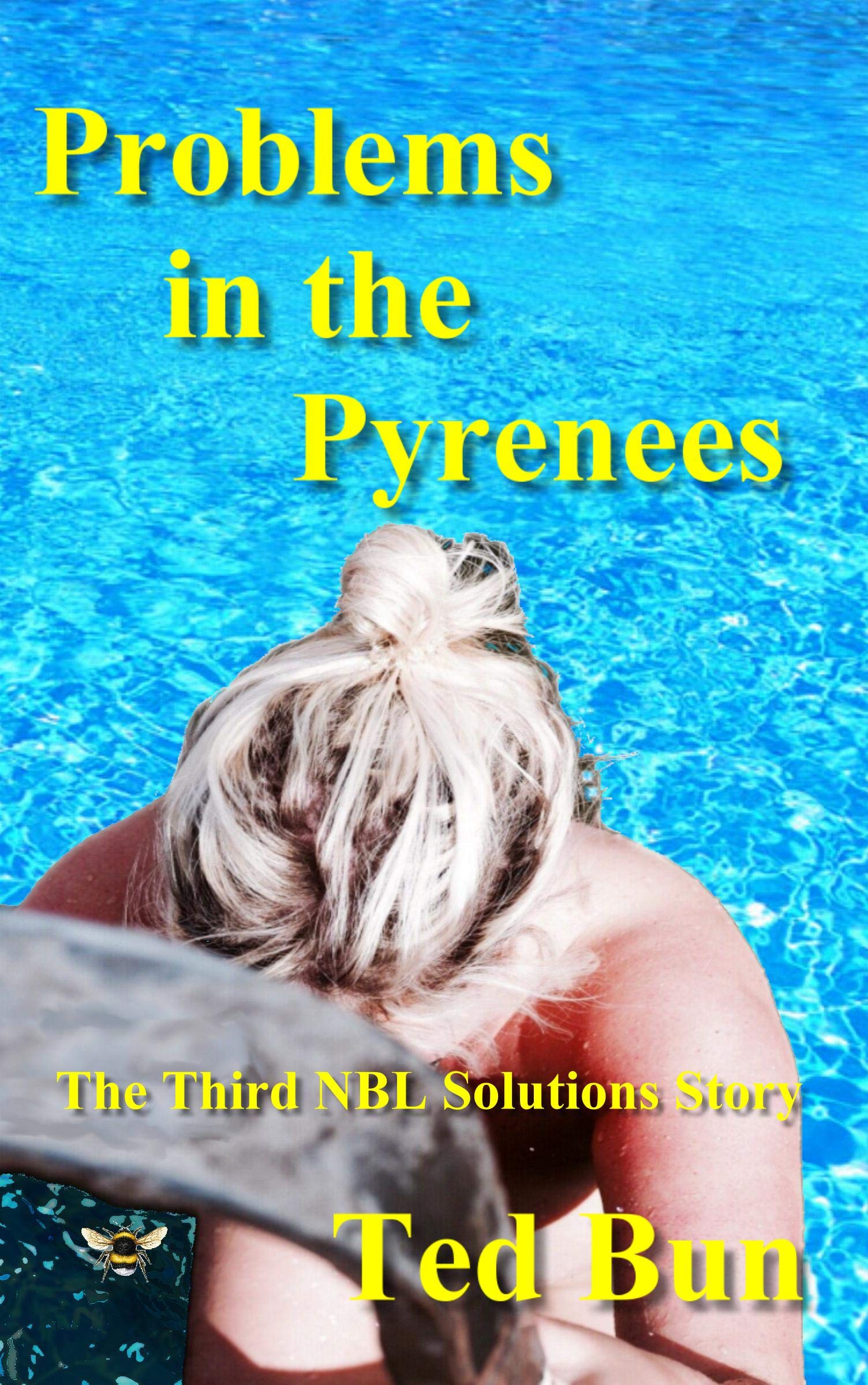 Problems in the Pyrenees