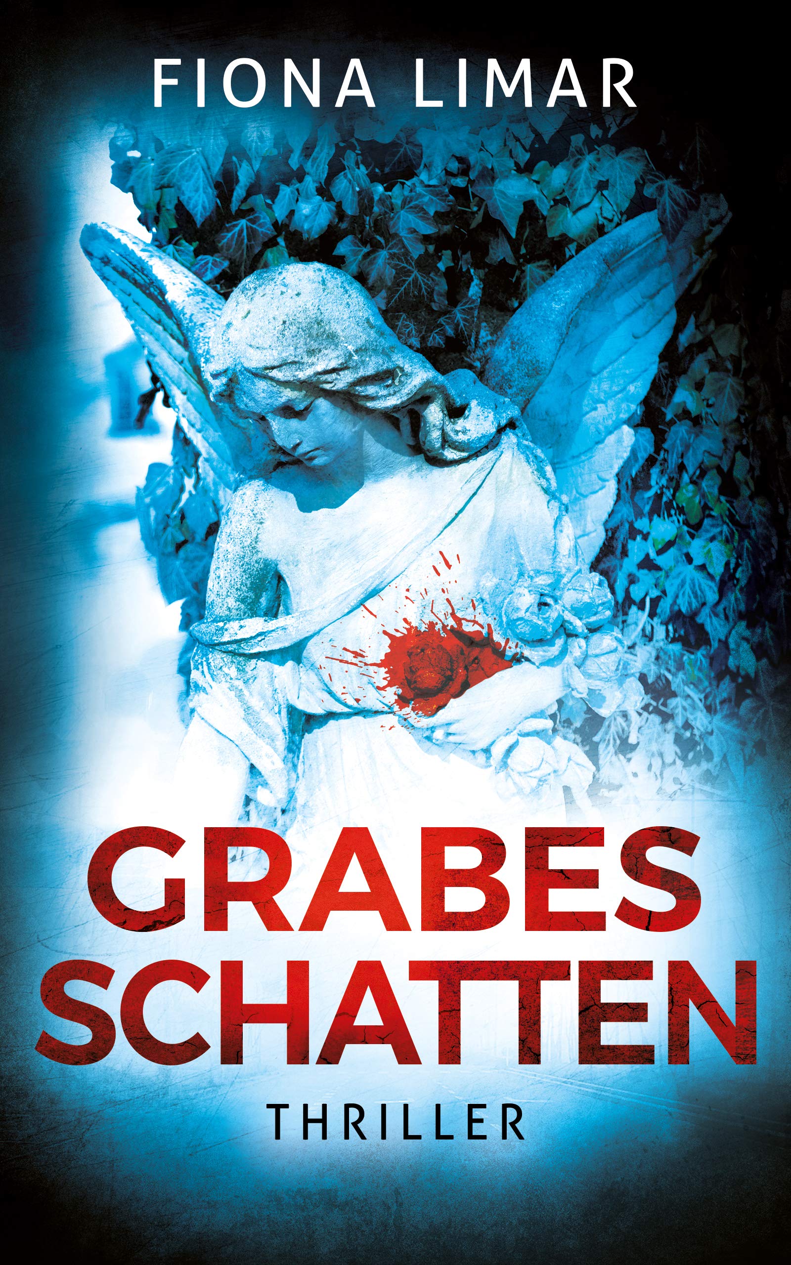 Grabesschatten (Brandenburg-Krimis 6)