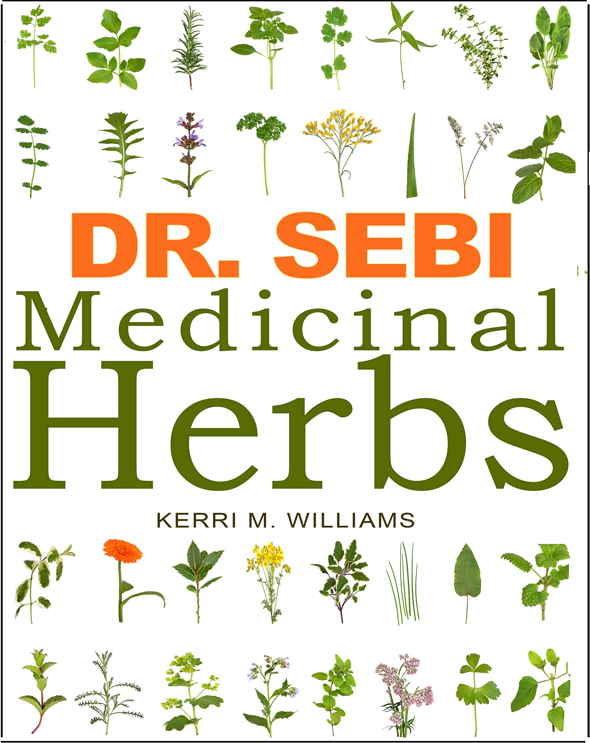 Dr Sebi Healing Salveindex - 6pwzz7q