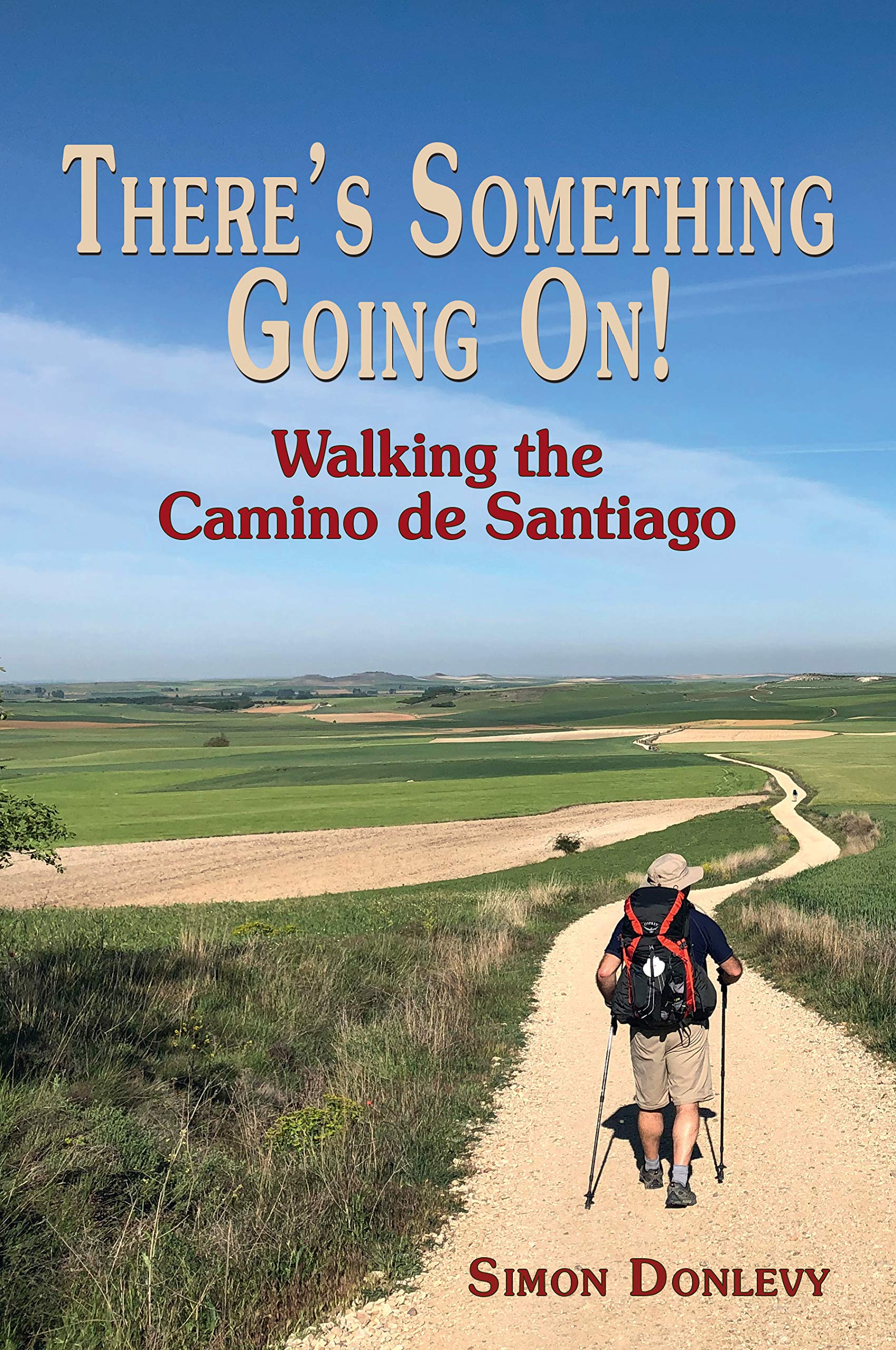 There’s Something Going On!: Walking the Camino de Santiago