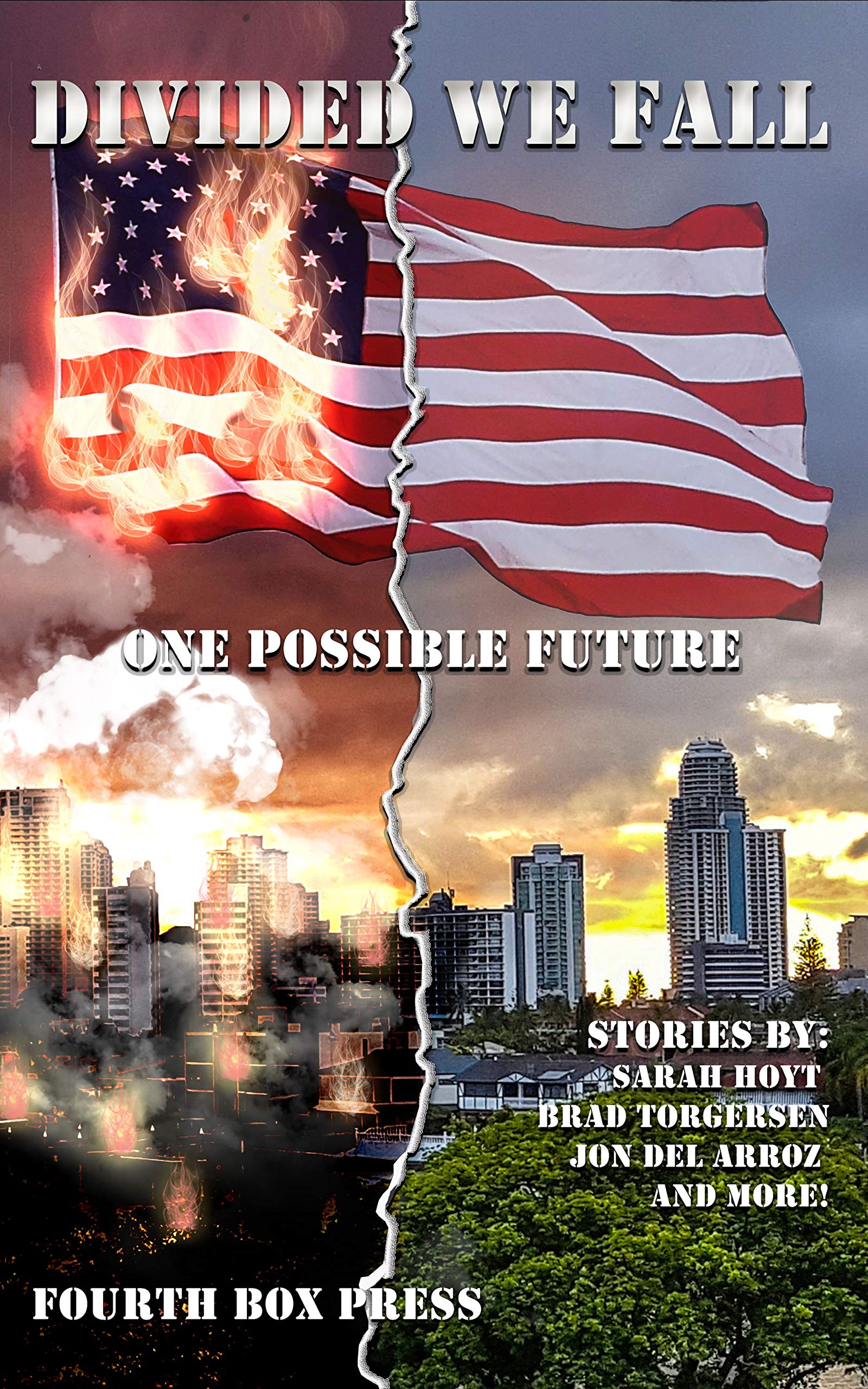 Divided We Fall book cover