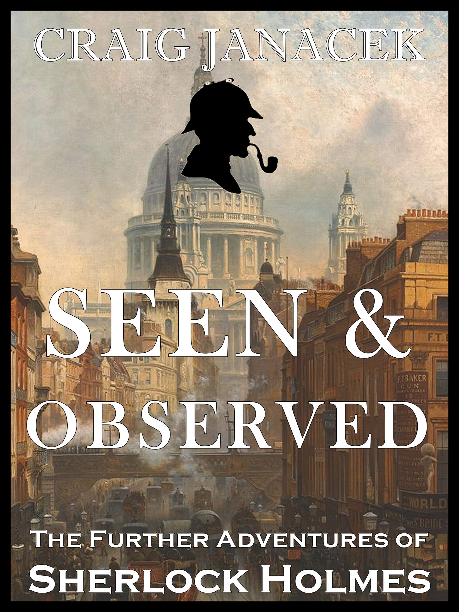 SEEN & OBSERVED book cover