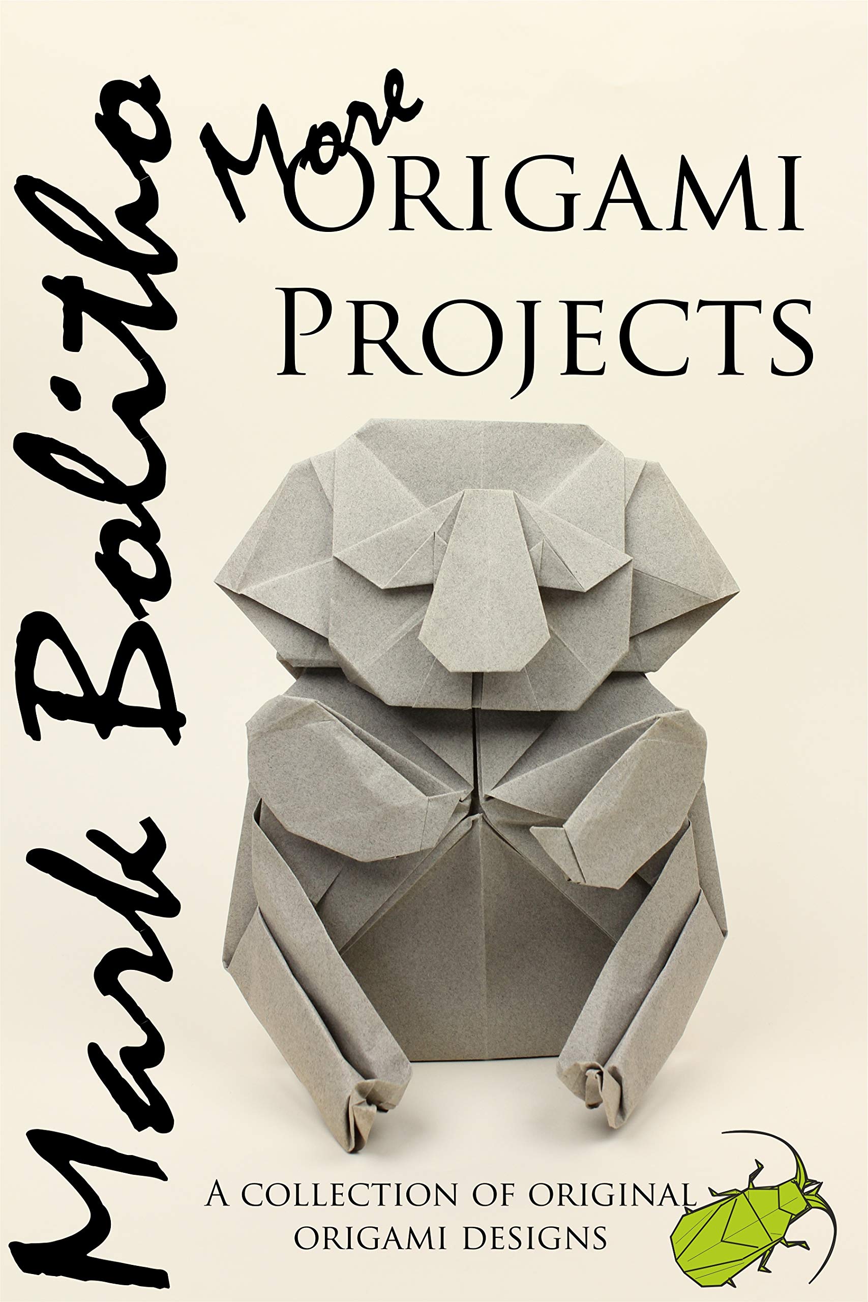 More Origami Projects