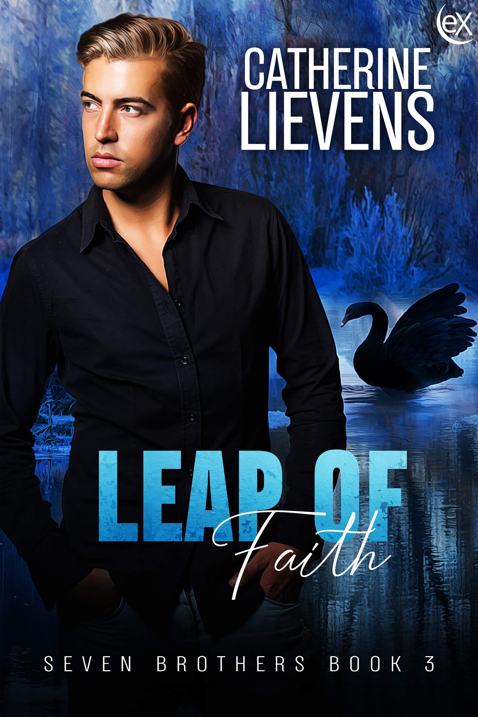 Seven Brothers book cover 3