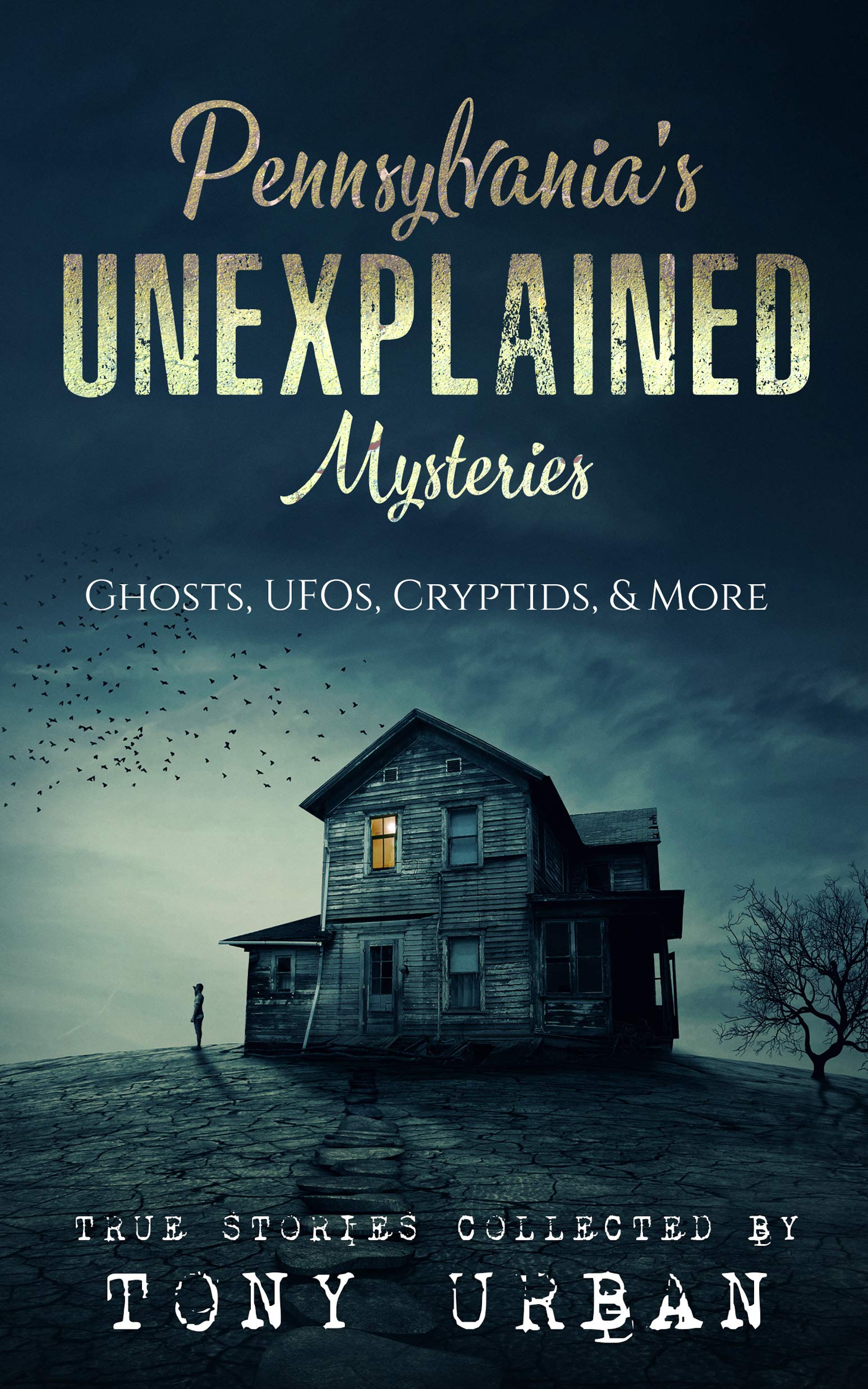 Chizhutch1223: The Unsolved Mystery - 6rsut2s