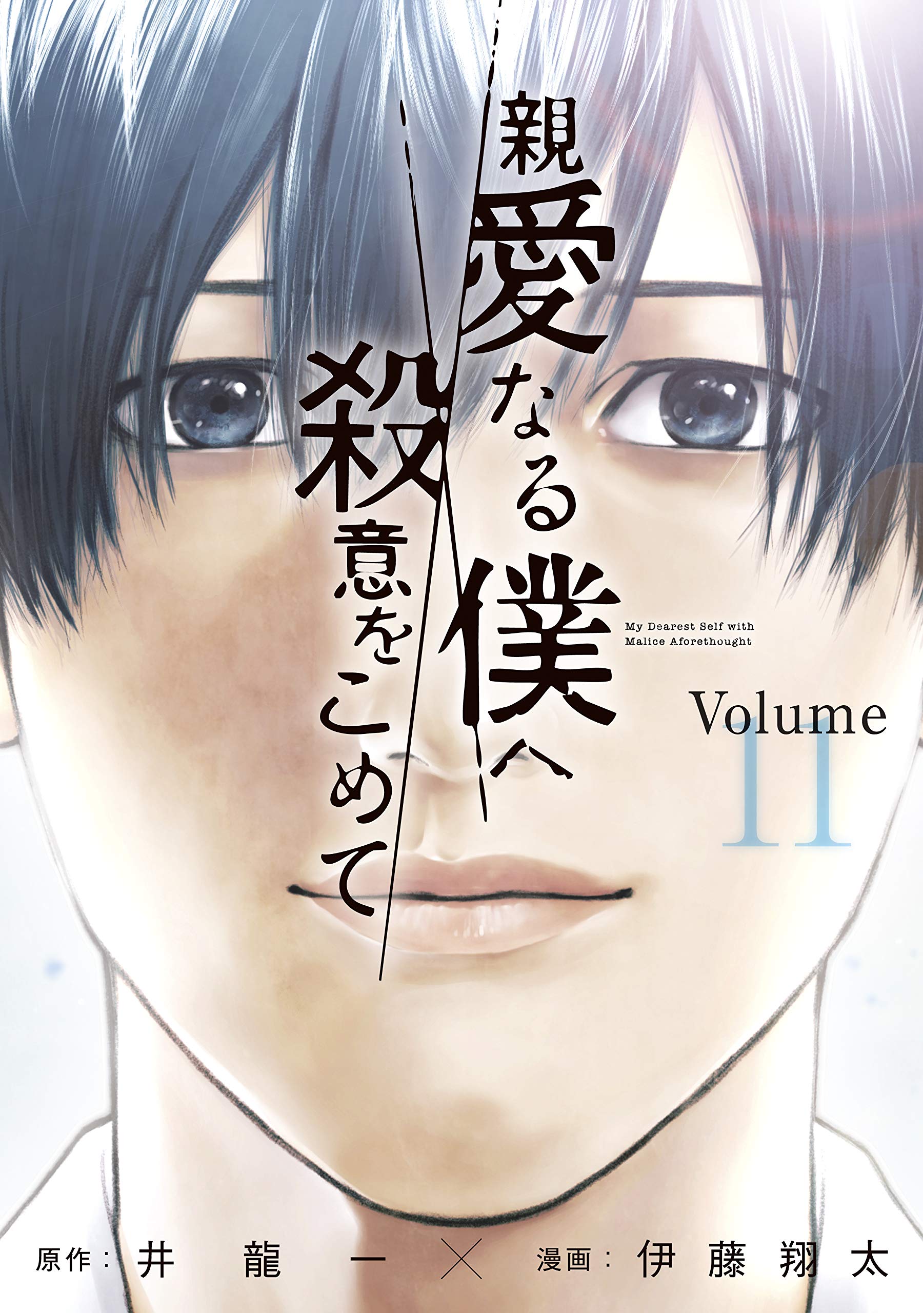 親愛なる僕へ殺意をこめて 11