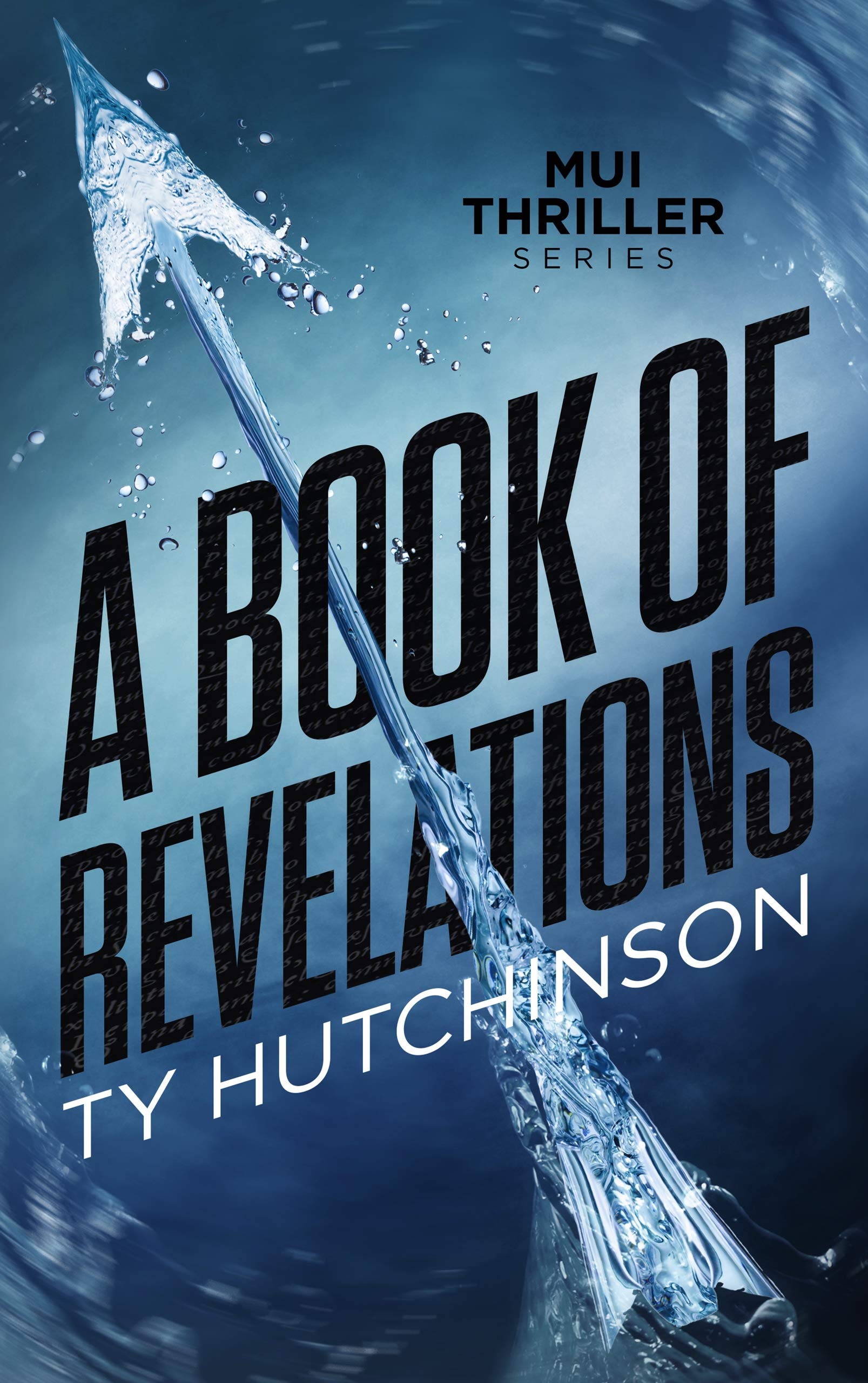 A Book of Revelations book cover