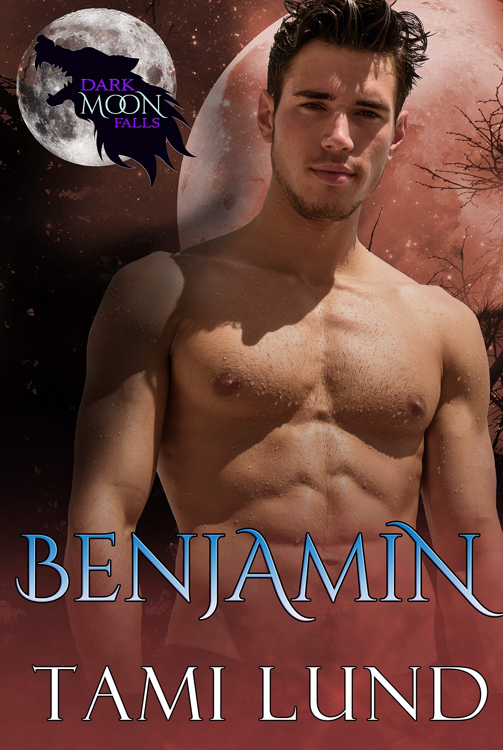 Benjamin book cover
