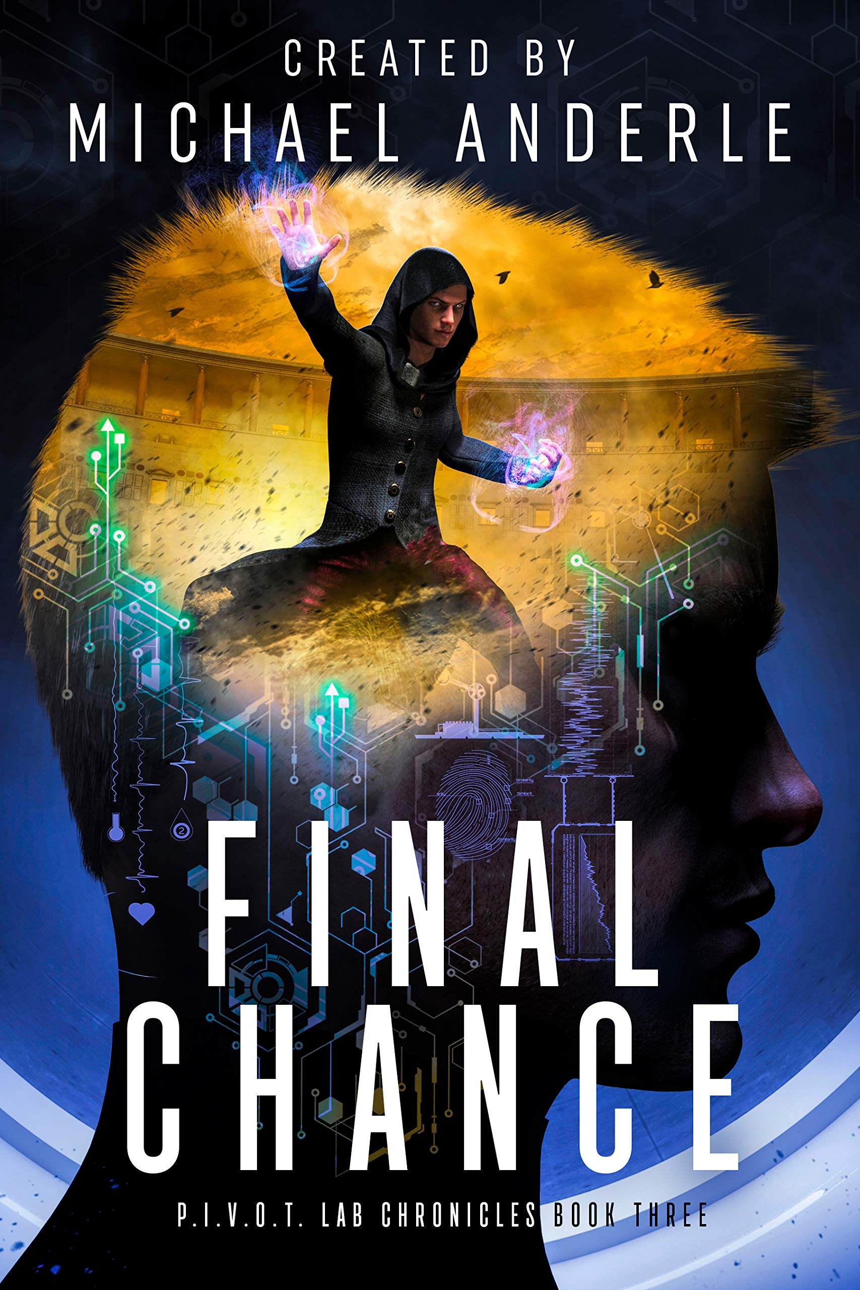 Final Chance book cover