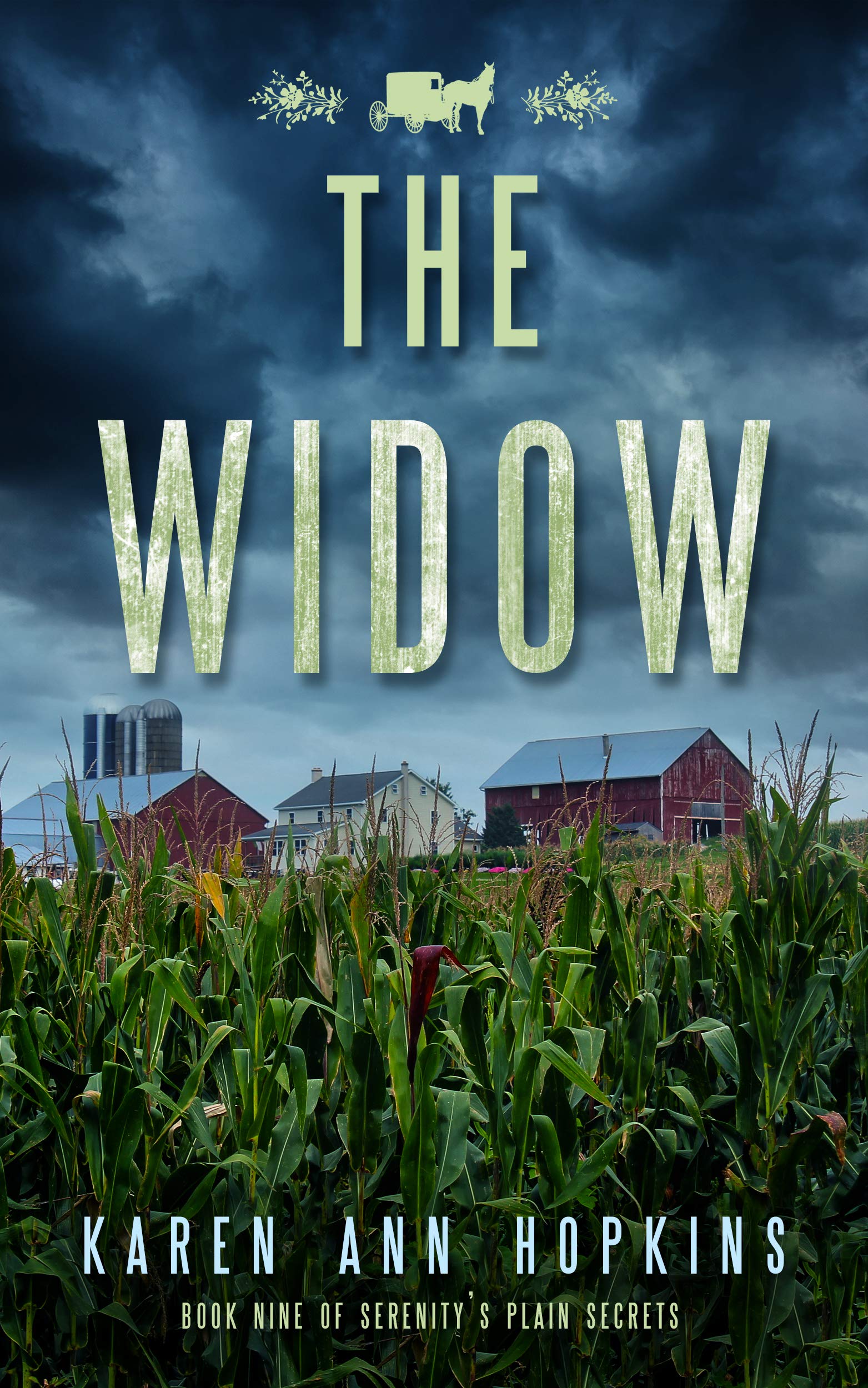 The Widow (Serenity's Plain Secrets, 9) by Karen Ann Hopkins Goodreads