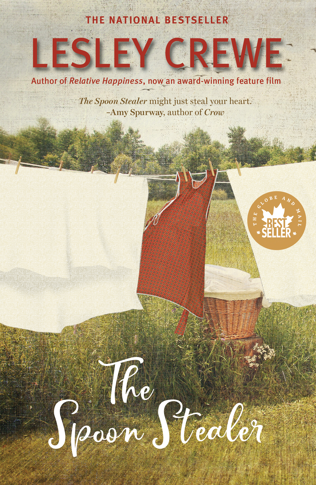 The Spoon Stealer book cover