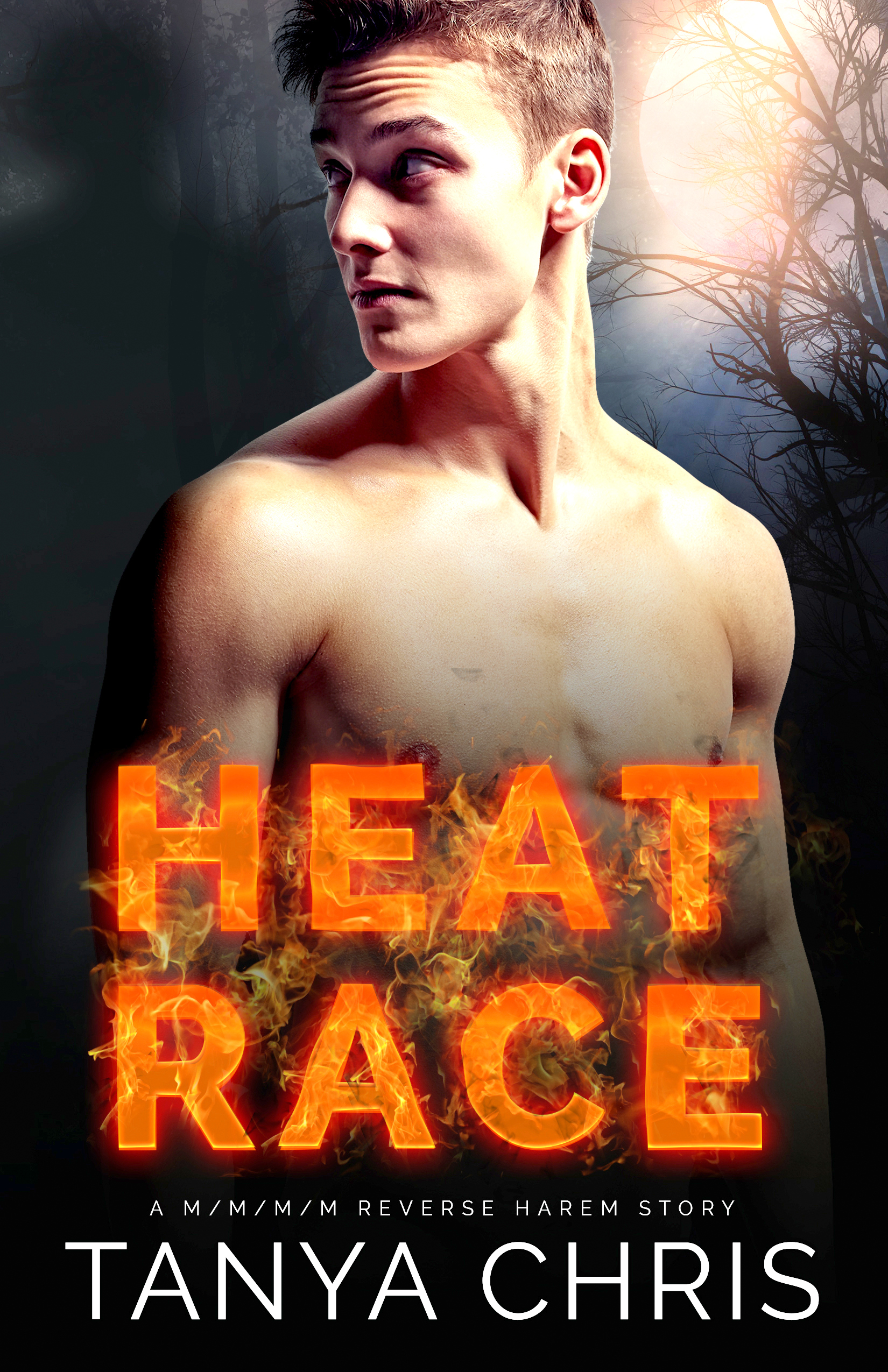 Heat Race book cover