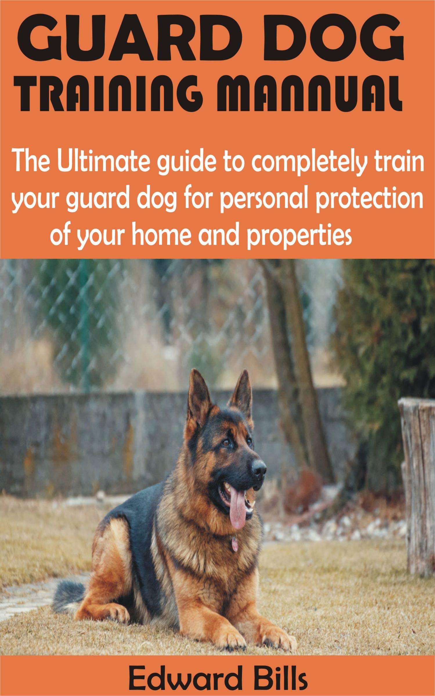 How To Train A Guard Dog At Home