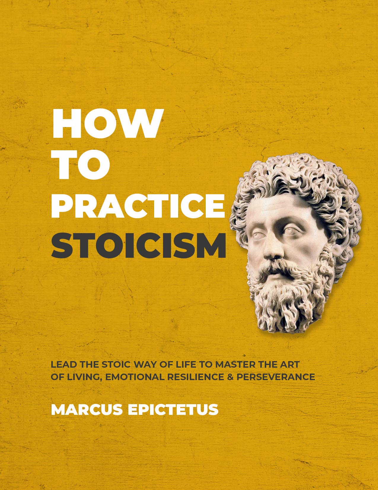 How to Practice Stoicism: Lead the stoic way of life to Master the Art of Living, Emotional Resilience & Perseverance - Make your everyday Modern life ... & Positive