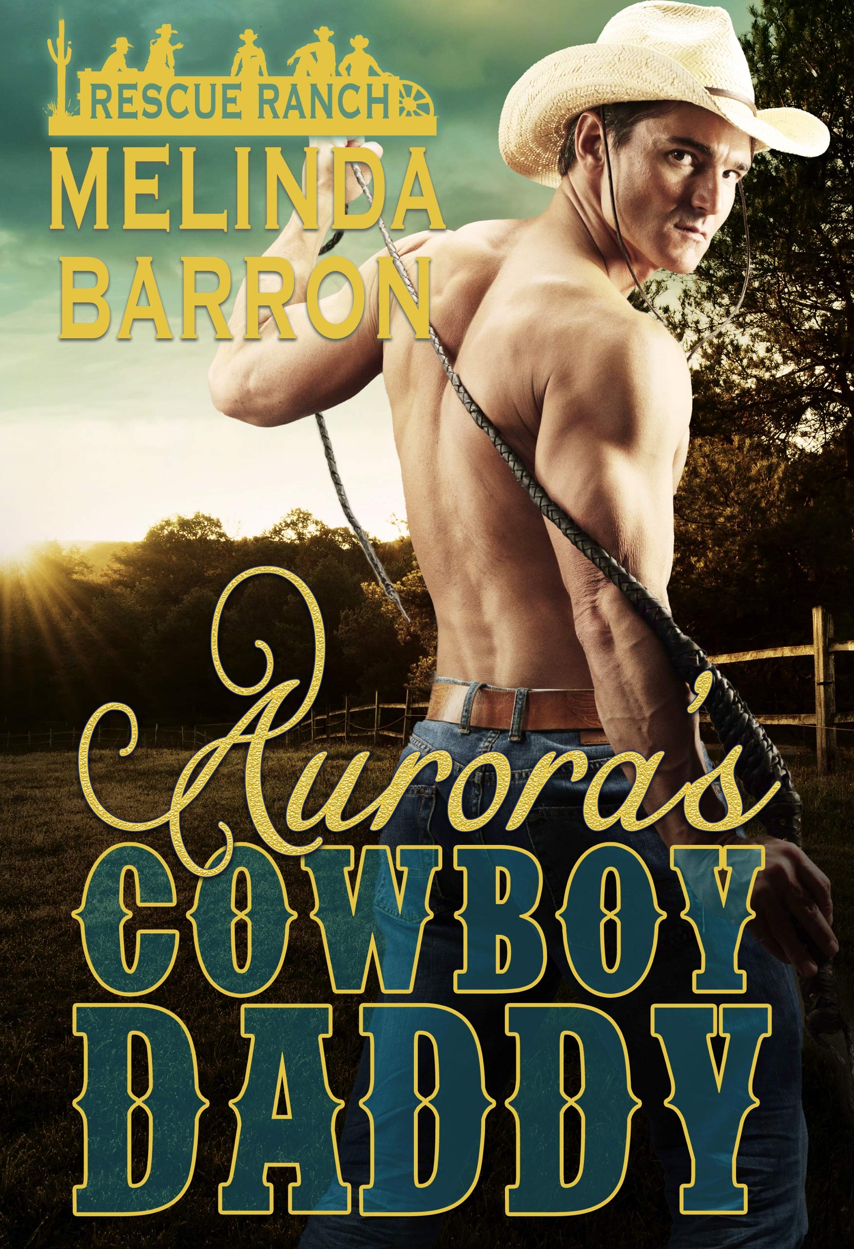 Aurora's Cowboy Daddy book cover