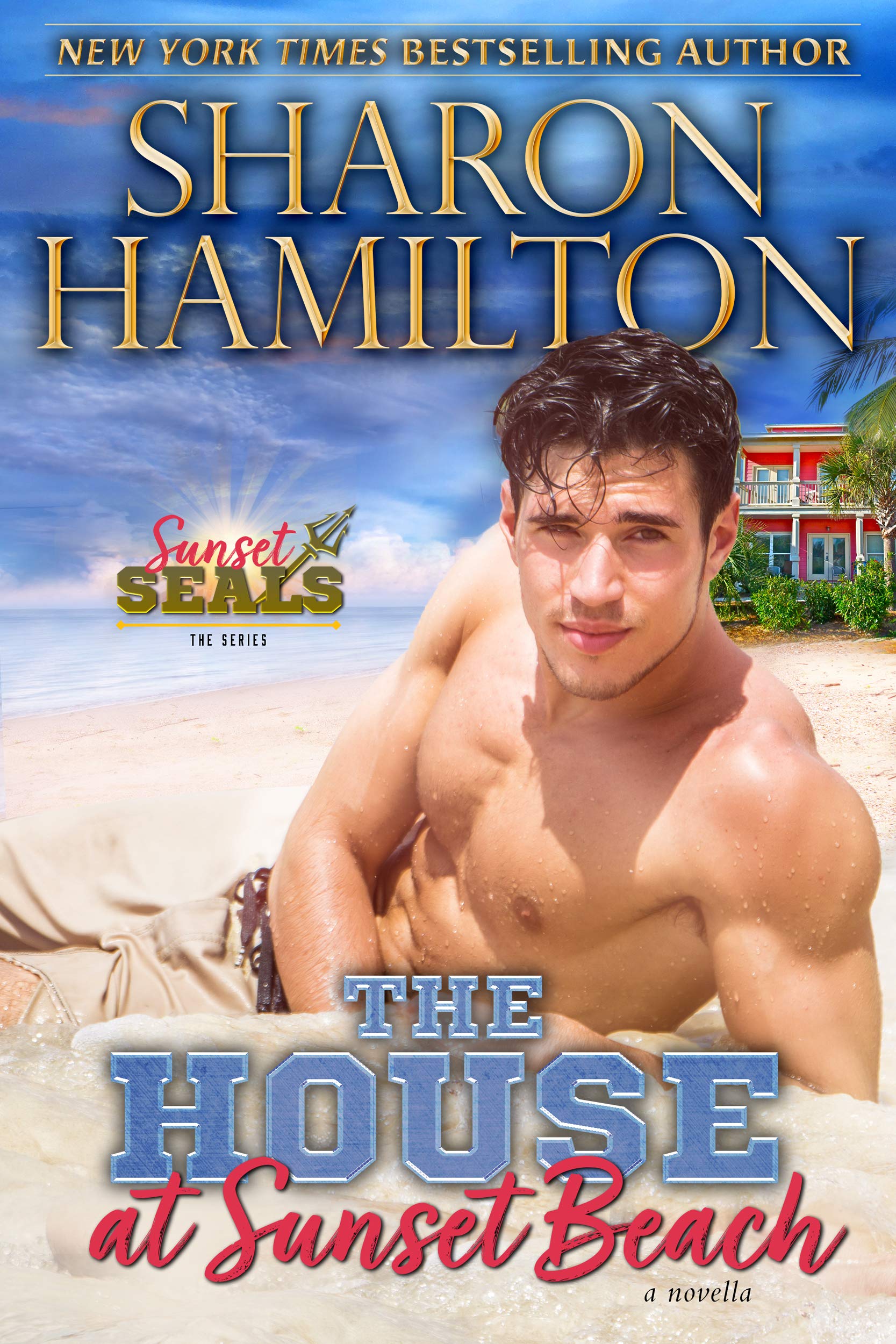 The House at Sunset Beach book cover