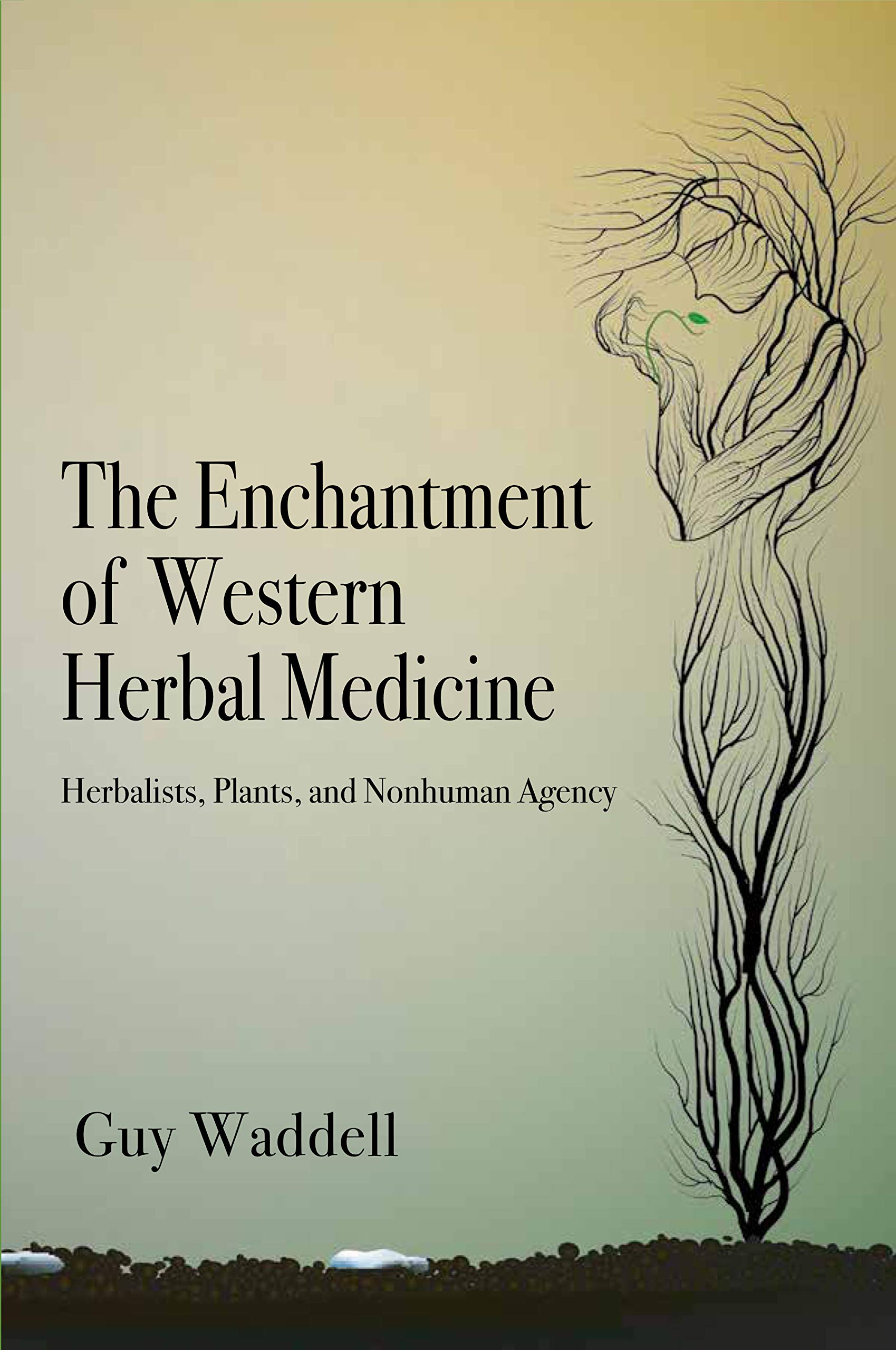 The Enchantment of Western Herbal Medicine Herbalists, Plants, and